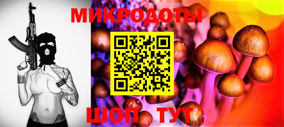 Псилоцибиновые грибы MAGIC MUSHROOMS  Вход с VPN  купить наркоту  Тихвин 